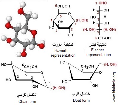 glucose-forms.jpg