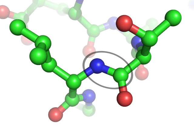 640px-Peptide_bond.png